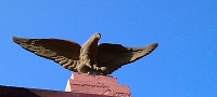 Symbol Sokola nad vchodem Sokolovny