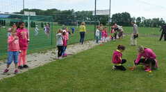 petanque